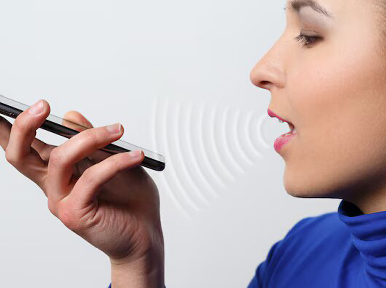voice search